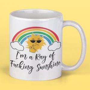 ray of fucking sunshine