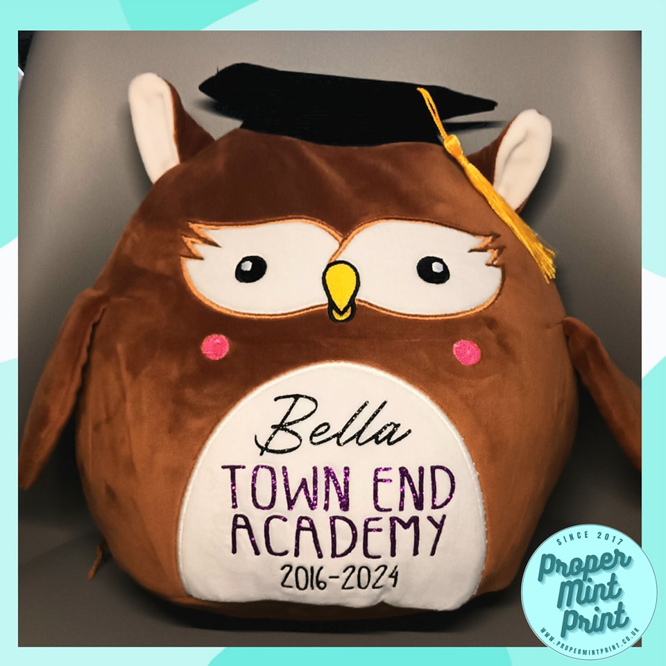 owl leavers School Leaver Gift - Wise Owl Squishy Teddy