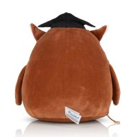 Personalised Teachers Gift - Wise Owl teddy