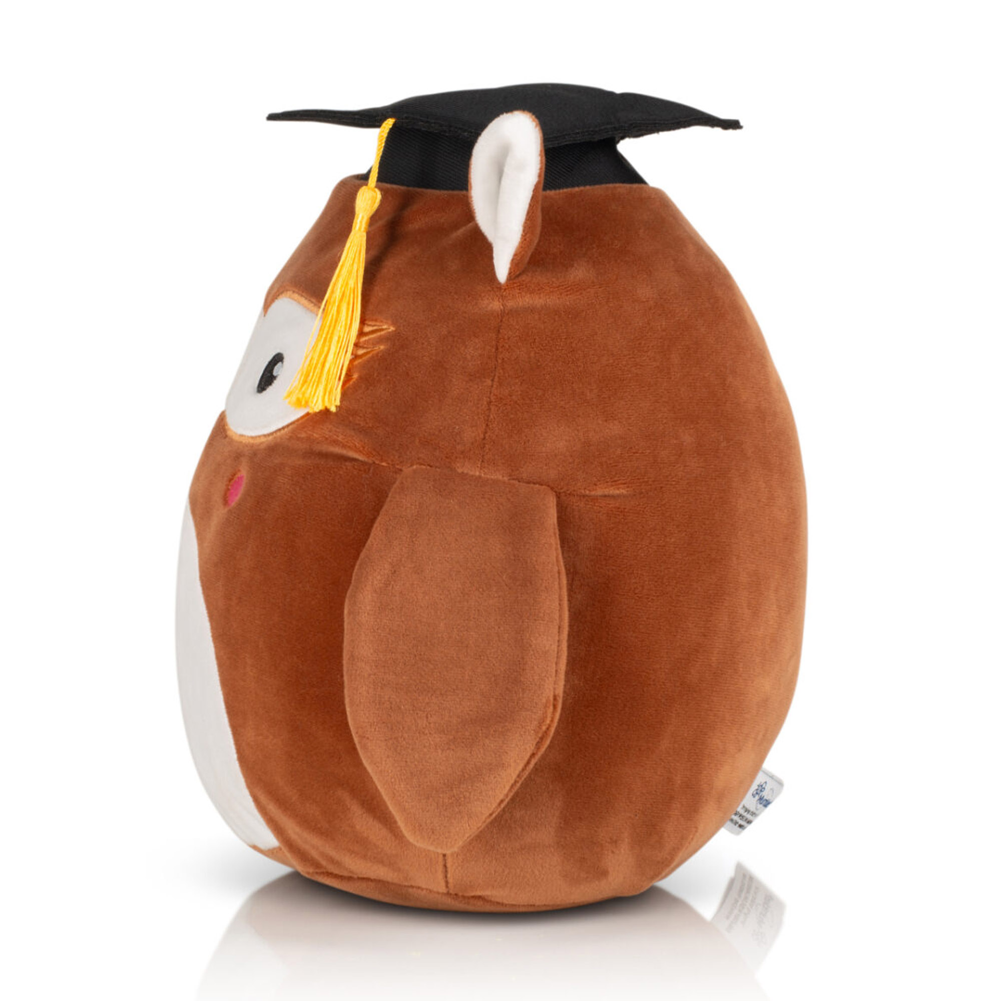 Personalised Teachers Gift - Wise Owl teddy