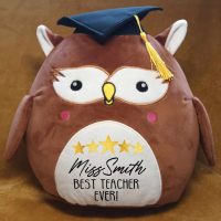 Personalised Teachers Gift - Wise Owl teddy