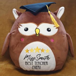 Personalised Teachers Gift - Wise Owl teddy