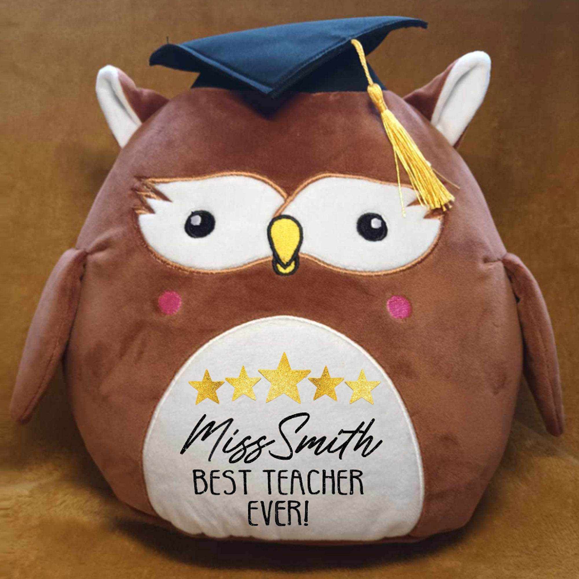 Personalised Teachers Gift - Wise Owl teddy