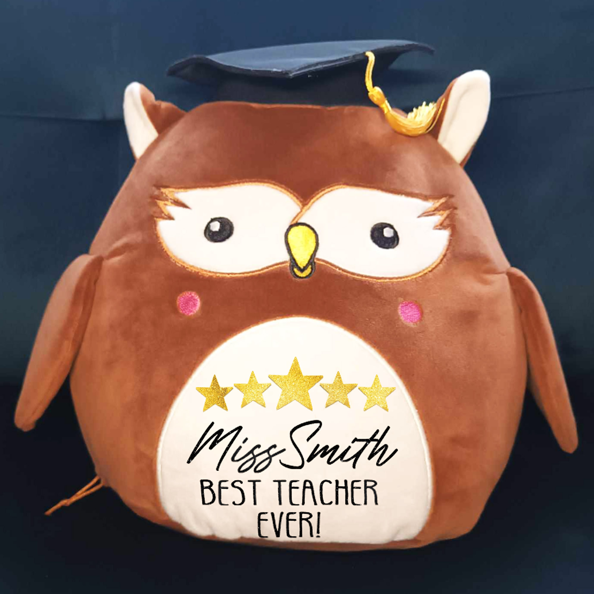 Personalised Teachers Gift - Wise Owl teddy