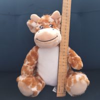 2 Personalised Keepsake Teddy