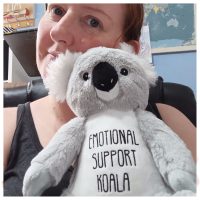 CYO teddy CYO teddy emotional support koala