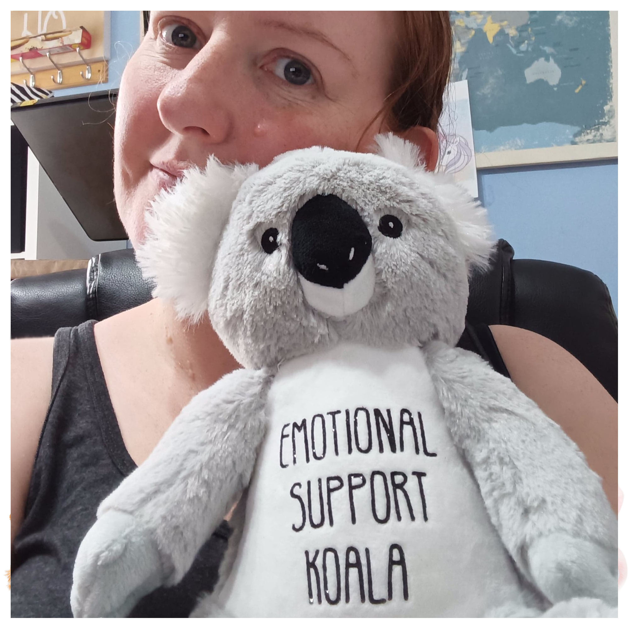 CYO teddy CYO teddy emotional support koala
